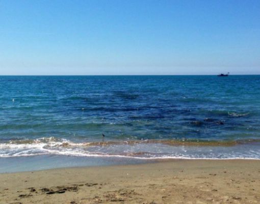 Как добраться из Рима до моря за 1,5 евро